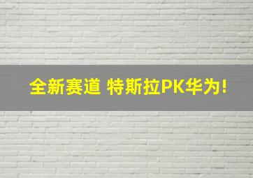 全新赛道 特斯拉PK华为!